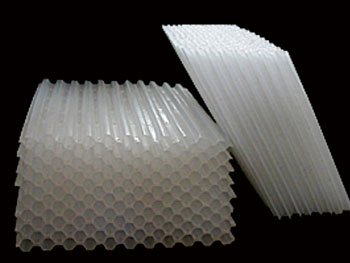 б������